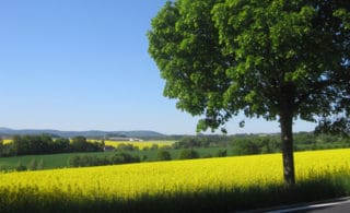 nature-view-agrofert